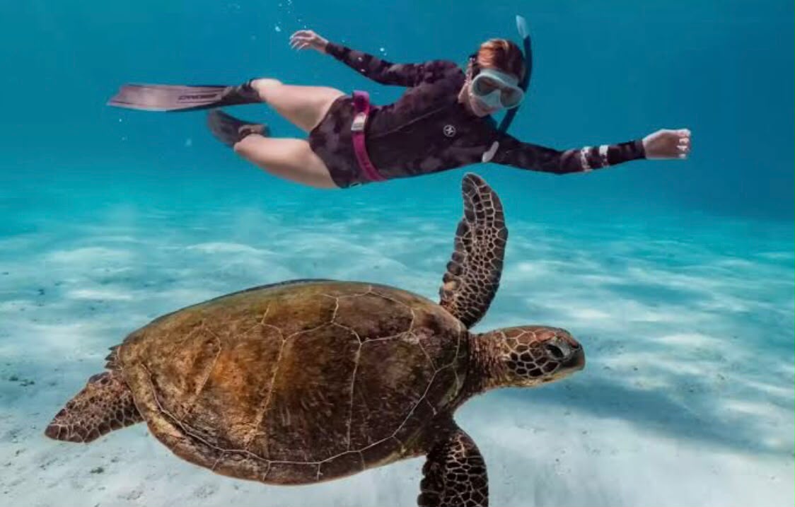 Snorkeling in Amed