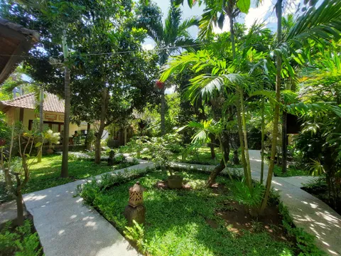 Tropical garden at Kirana Homestay Amed